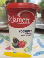 Yoghurt with real wild berries