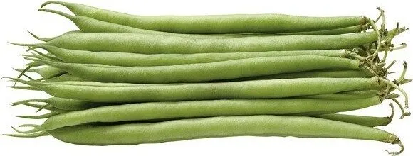 Haricot vert fin