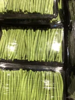 Haricots verts très fins