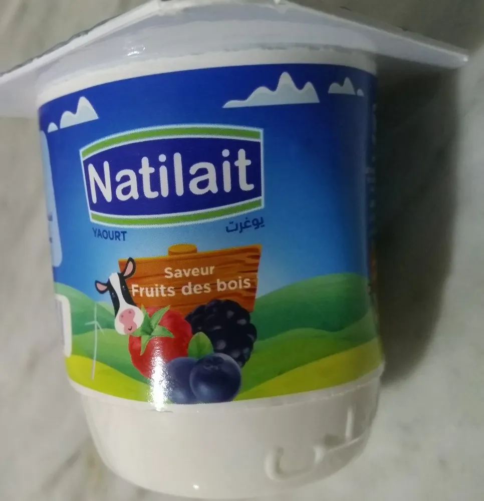 yaourt saveur fruits des bois