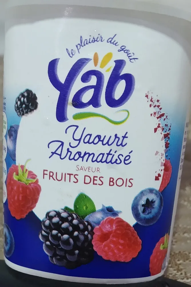 Yaourt aromatisé fruits des bois