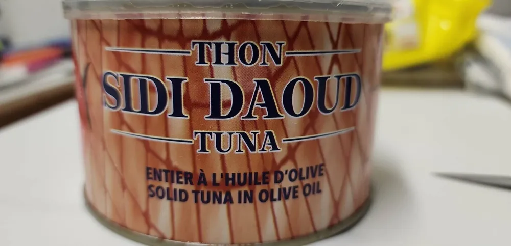Thon Sidi Daoud