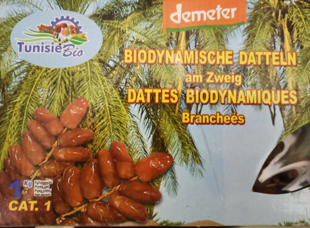 Dattes Bio tunisie