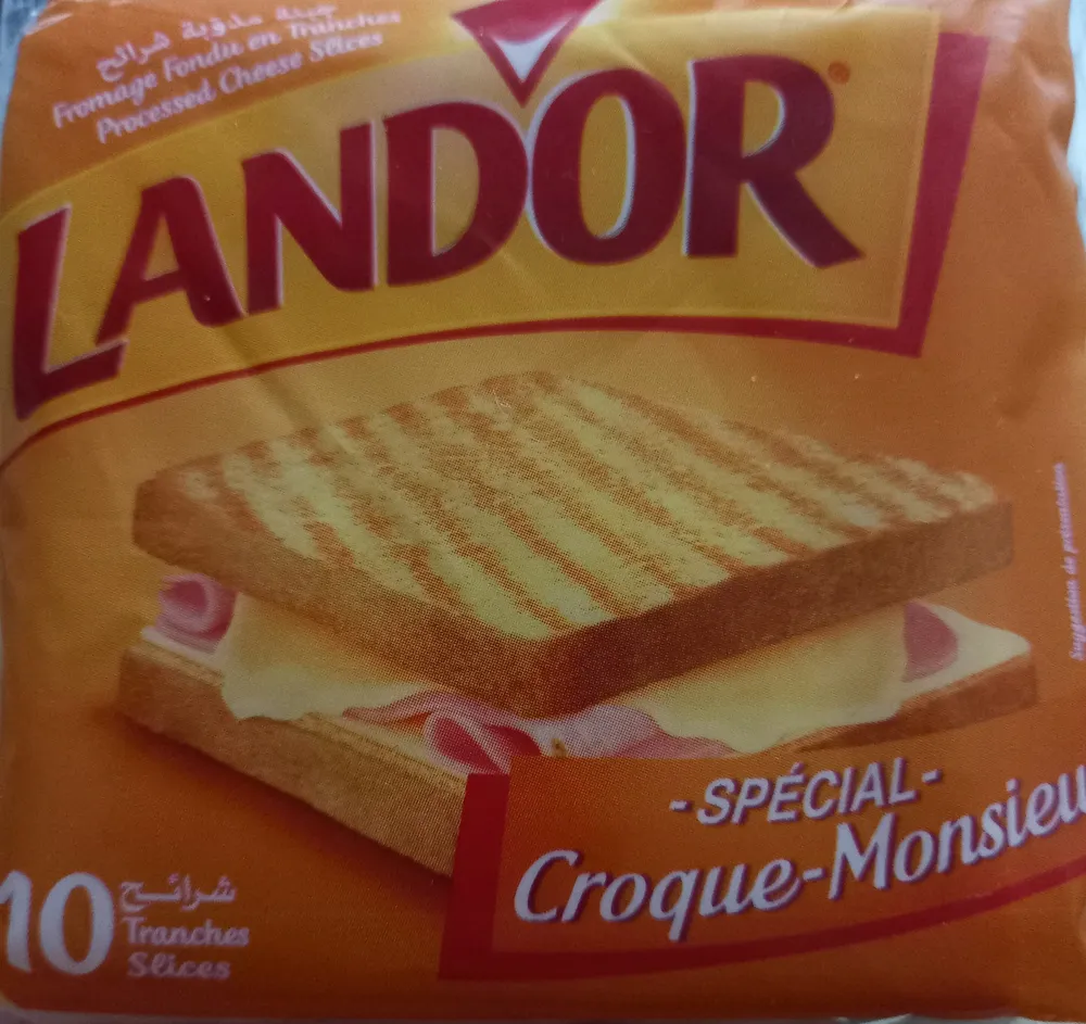 Fromage Fondu En Tranches Spécial Croque Monsieur