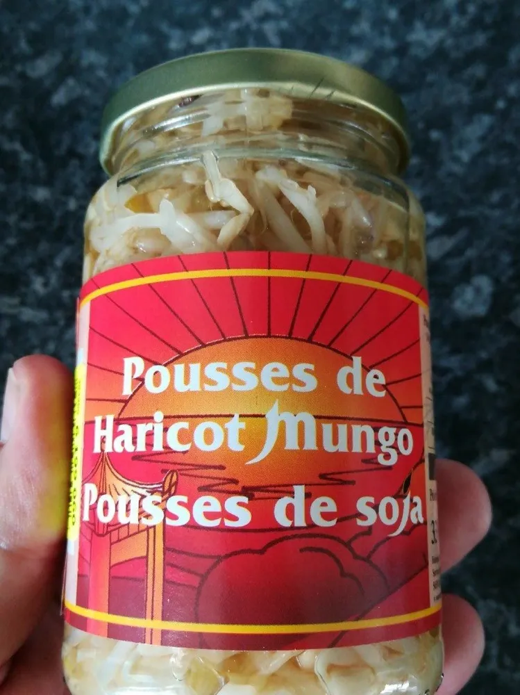 Pousse de haricots mungo (pousse de soja)
