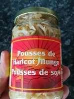 Pousse de haricots mungo (pousse de soja)