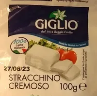 Stracchino cremoso