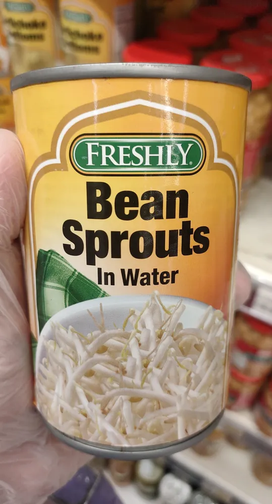 Freshly bean sprouts in water