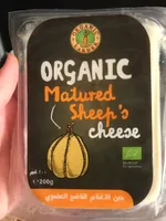 Cheese