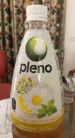 Pleno