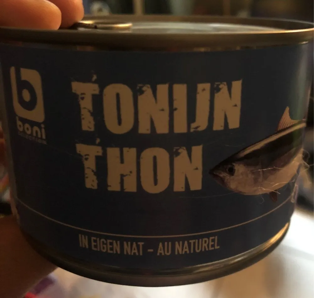 Thon au naturel