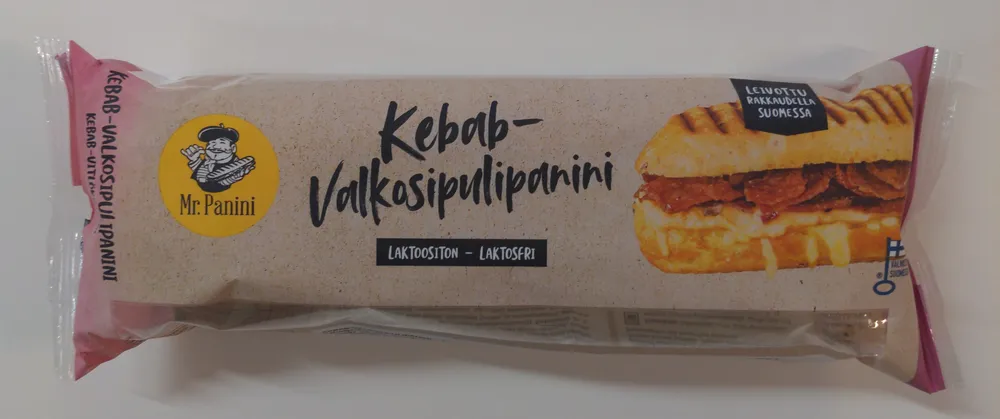 Kebab-valkosipulipanini