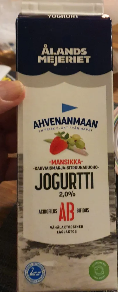 Karviaismarja-Sitruunaruoho-Jogurtti