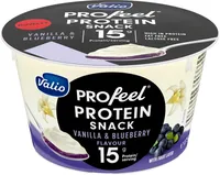 Vanilla & blueberry protein snack
