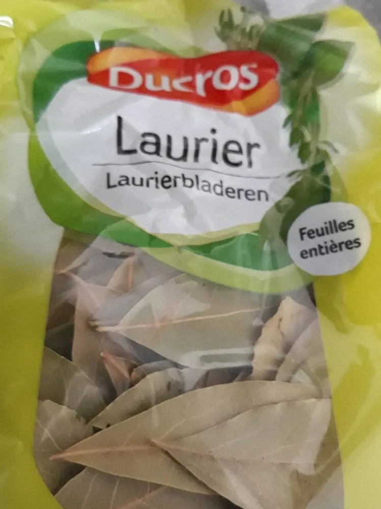 Laurier