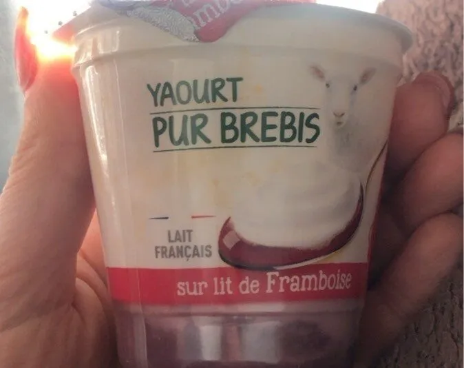 Yaourt pur brebis sur lit de framboise