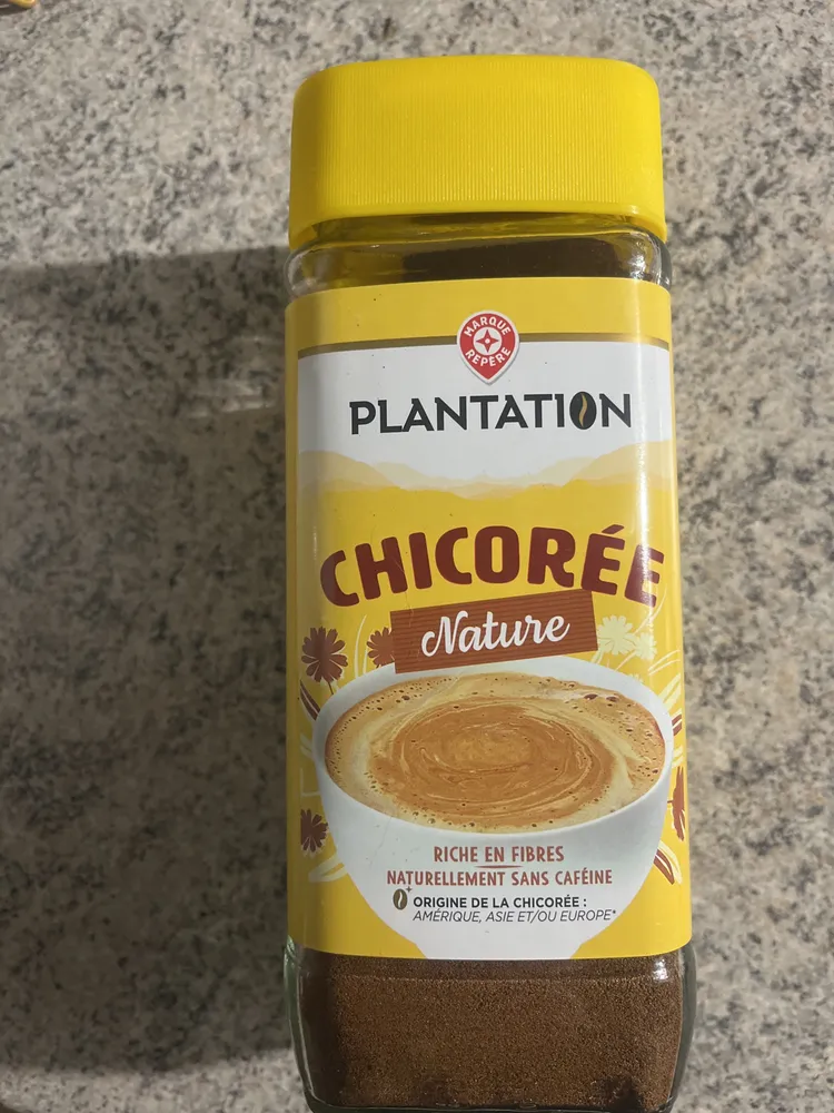 Chicorée nature