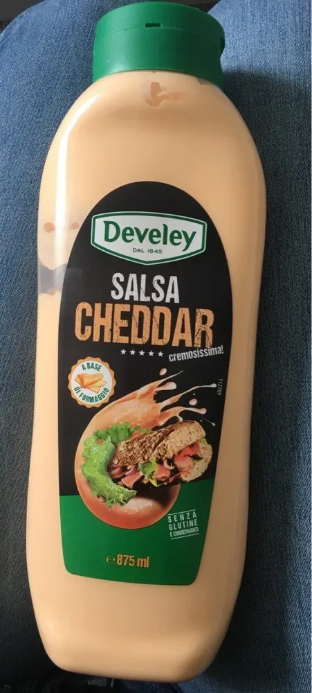Salsa cheddar
