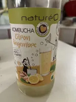 Kombucha Citron Gingembre