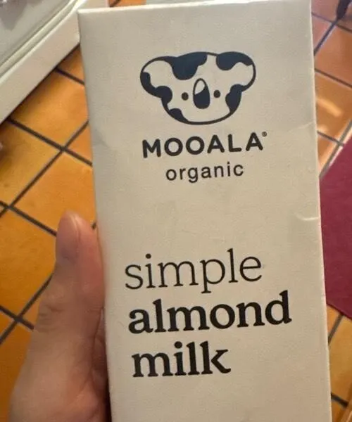 Simple Almond Milk