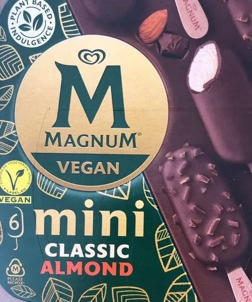 Vegan mini ice cream