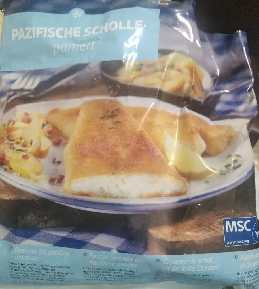 Platija del Pacífico empanada