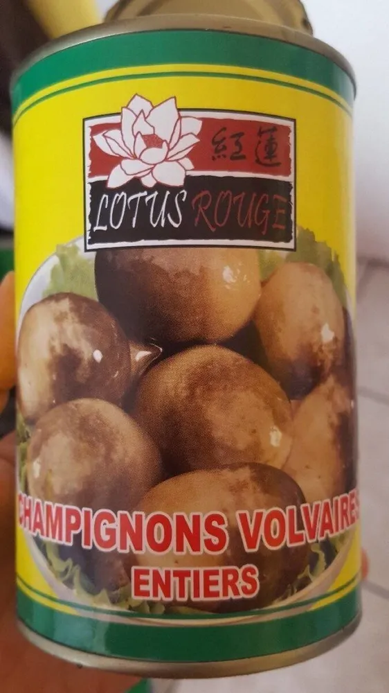 Champignons volvaires entier