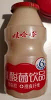 Lactic Acid Bacteria Drink