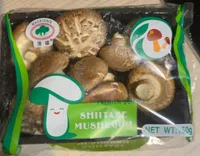 Shiitake Mushroom
