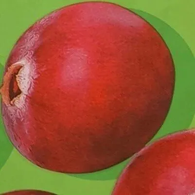 Spuntini di mirtilli