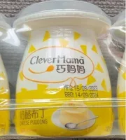 Cheese pudding