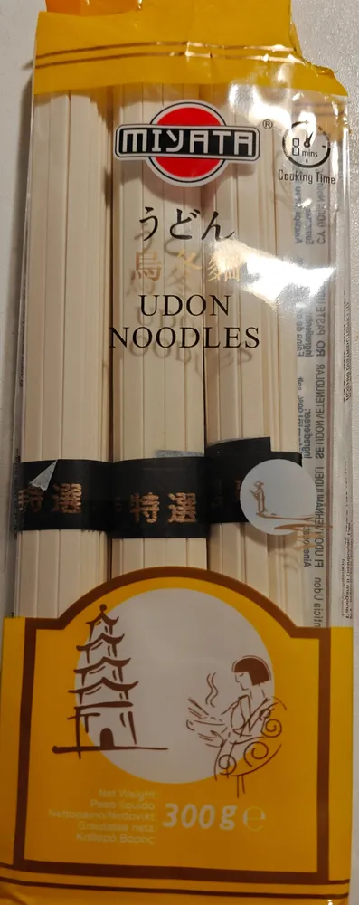 Udon noodles