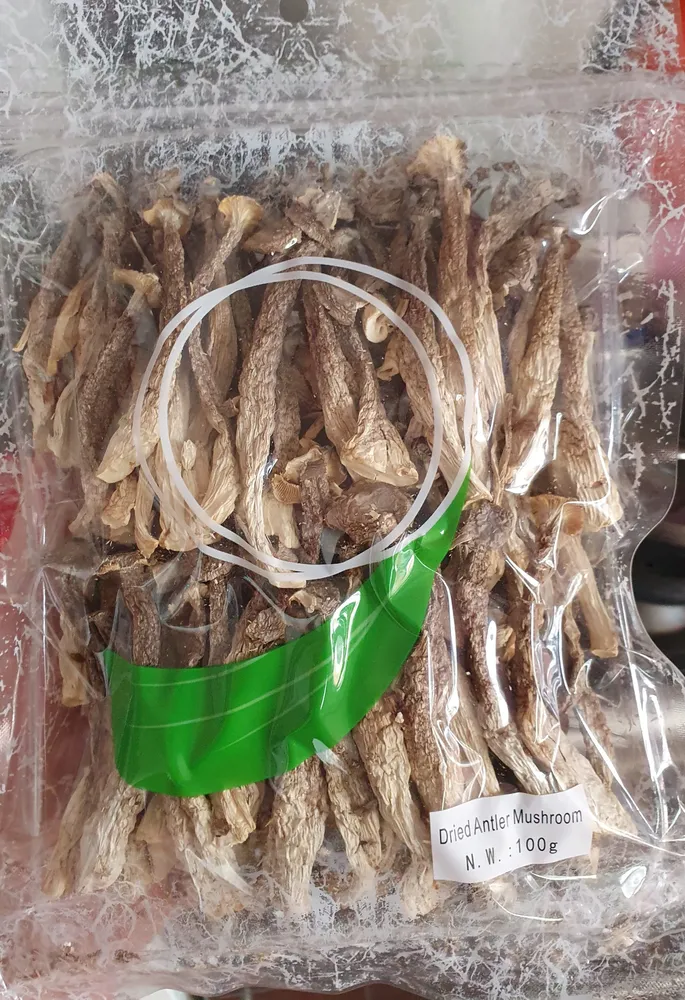 Dried Antler Mushroom