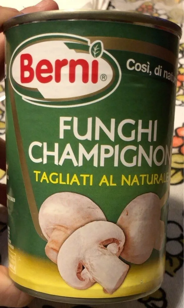 Funghi champignon