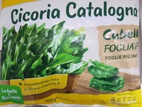 Cicoria catalogna