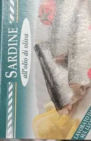 Sardine