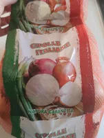 Cipolle italiane