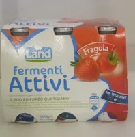 Fermenti Attivi