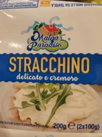 Stracchino