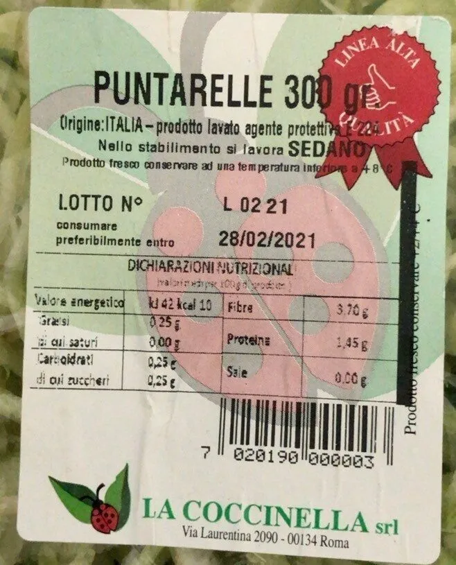 Puntarelle