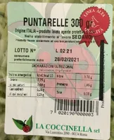 Puntarelle