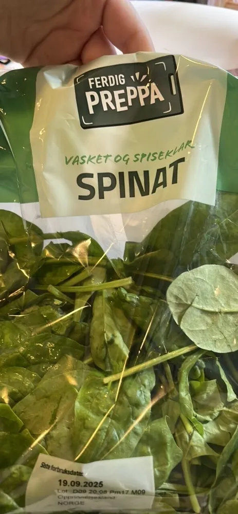 Spinat