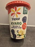 Kvarg Bjørnebær & Vanilje