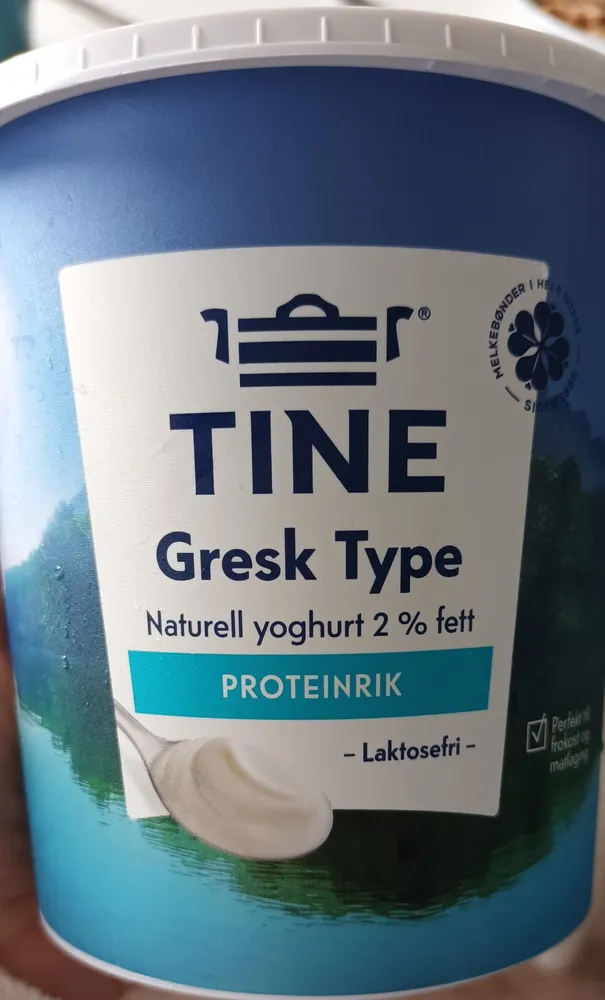 Gresk yogurt Laktosefri