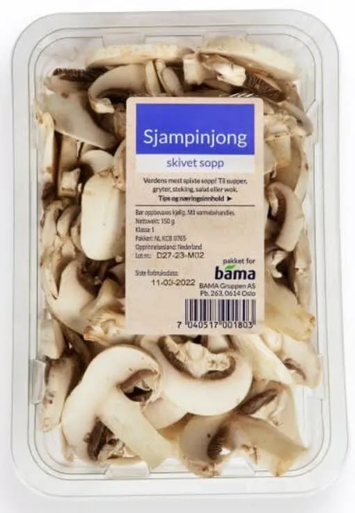Sjampinjong