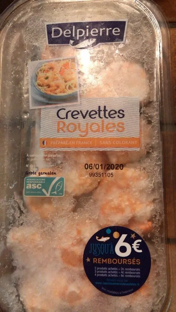Crevettes tropicales
