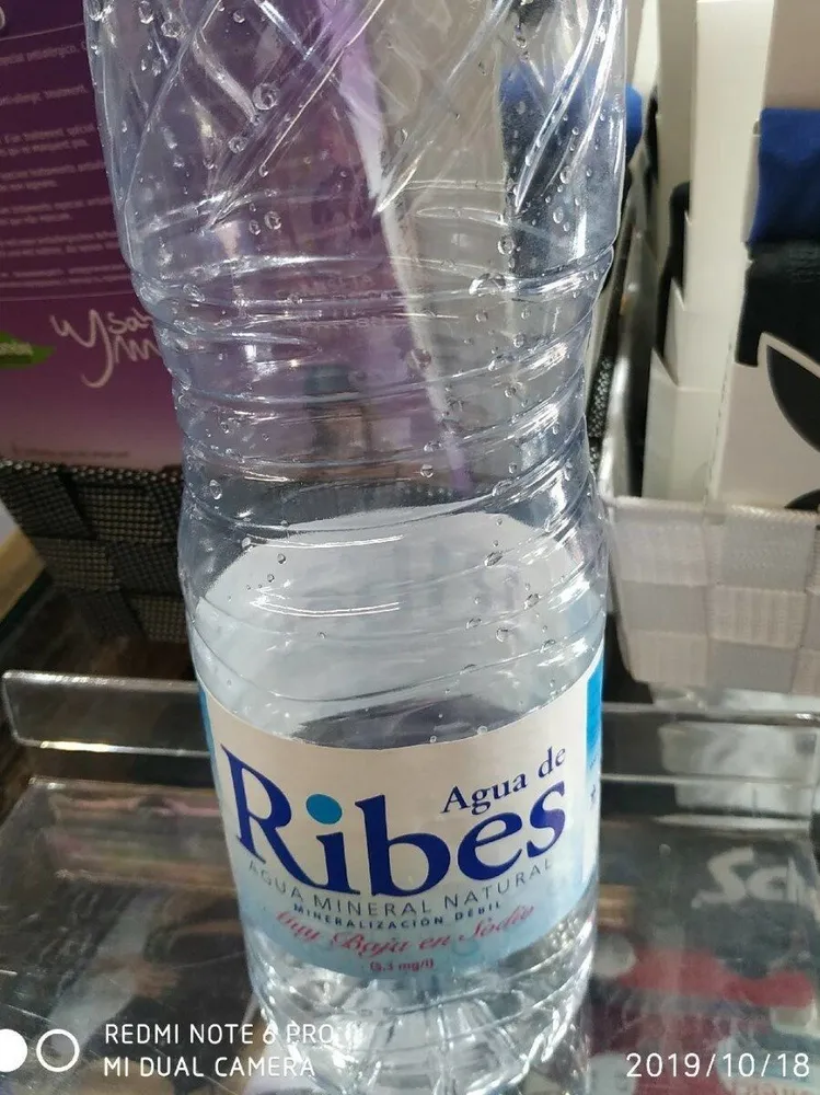 Ribes