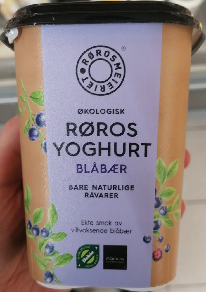 Yoghurt Blåbær