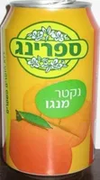 Spring Mango Nectar Can