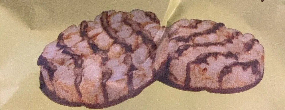 Whole Rice Crackers w Chocolate Flavored Coating